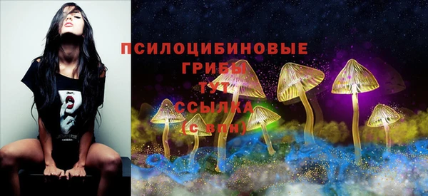 альфа пвп Инсар