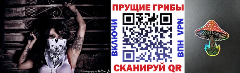 Псилоцибиновые грибы прущие грибы  Купить  Сердобск 
